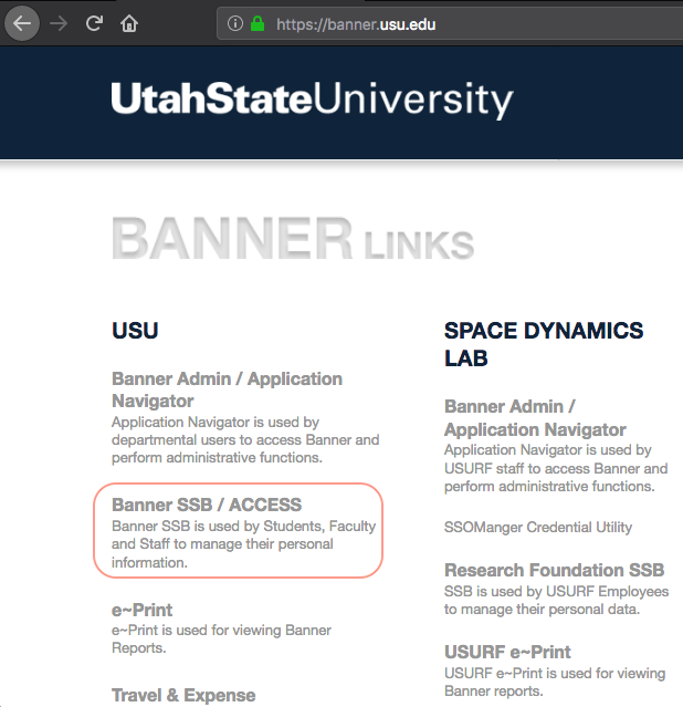 Information Technology View Unofficial Transcript