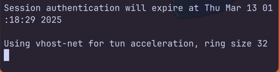 Example terminal view of a successful connection