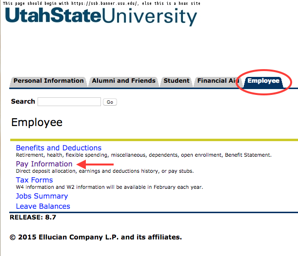 Information Technology Payroll Direct Deposit